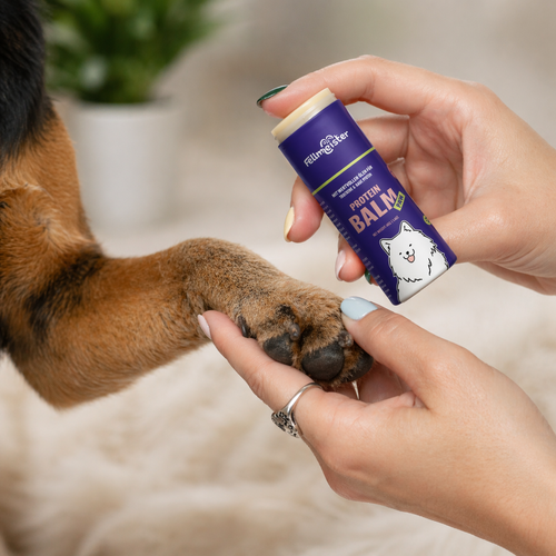 Pfoten Balm