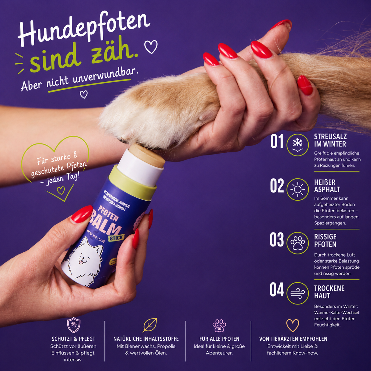Pfotenbalsam Stick